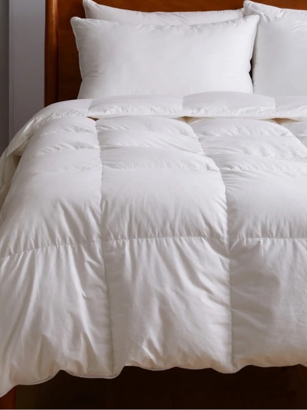 NWT QUINCE Premium Down Comforter All Season Full/Queen